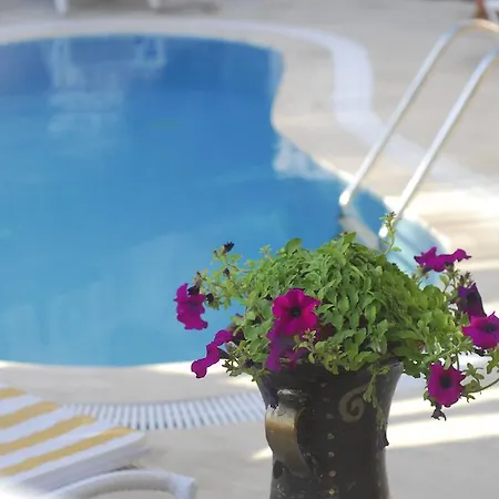 Hotel Isabel Butik 4*