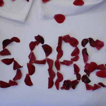 酒店 Isabel Butik 4*